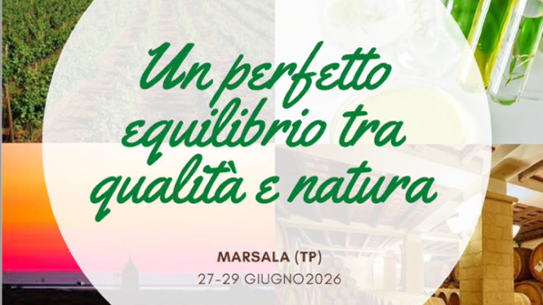 Immagine1